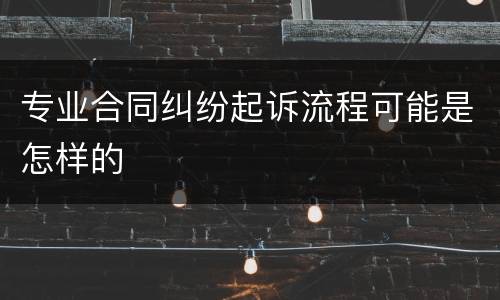 专业合同纠纷起诉流程可能是怎样的