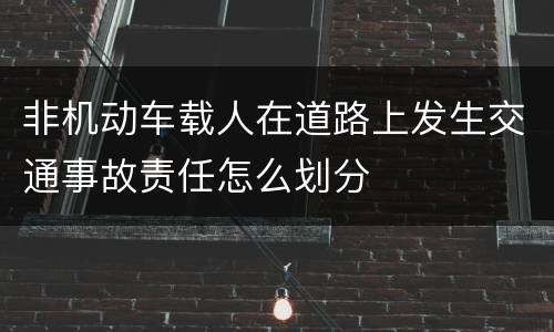 非机动车载人在道路上发生交通事故责任怎么划分