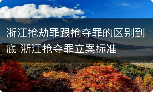 浙江抢劫罪跟抢夺罪的区别到底 浙江抢夺罪立案标准