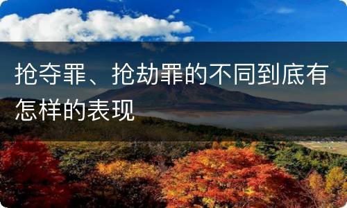 抢夺罪、抢劫罪的不同到底有怎样的表现