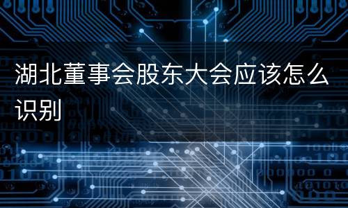 湖北董事会股东大会应该怎么识别