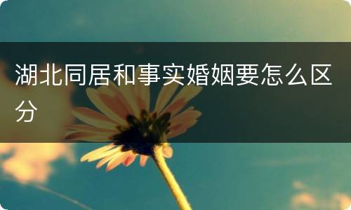 湖北同居和事实婚姻要怎么区分