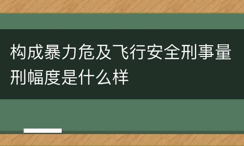 构成暴力危及飞行安全刑事量刑幅度是什么样