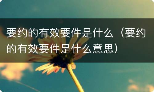 要约的有效要件是什么（要约的有效要件是什么意思）