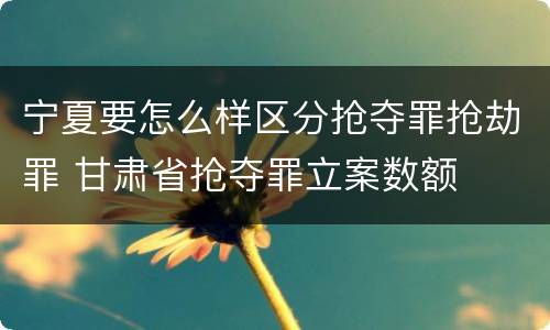 宁夏要怎么样区分抢夺罪抢劫罪 甘肃省抢夺罪立案数额
