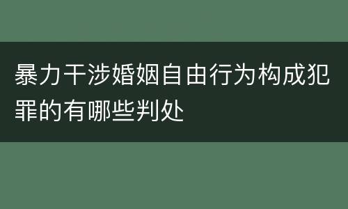 暴力干涉婚姻自由行为构成犯罪的有哪些判处