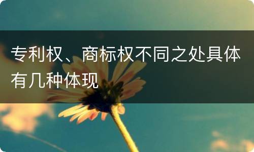 专利权、商标权不同之处具体有几种体现
