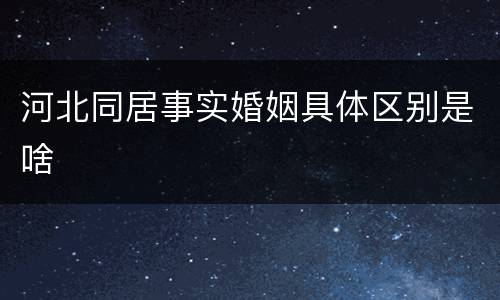 河北同居事实婚姻具体区别是啥