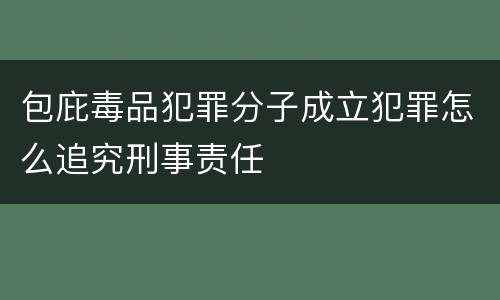 包庇毒品犯罪分子成立犯罪怎么追究刑事责任