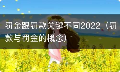 罚金跟罚款关键不同2022（罚款与罚金的概念）