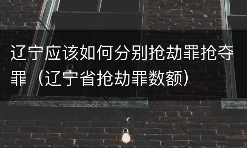 辽宁应该如何分别抢劫罪抢夺罪（辽宁省抢劫罪数额）
