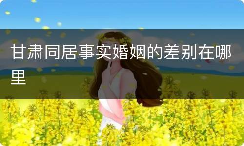 甘肃同居事实婚姻的差别在哪里
