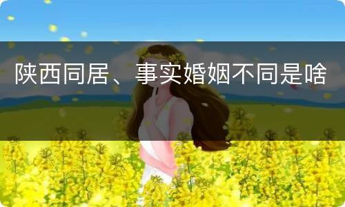 陕西同居、事实婚姻不同是啥