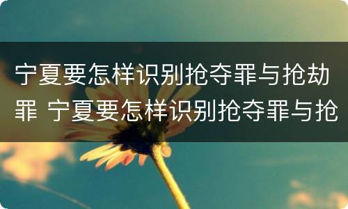 宁夏要怎样识别抢夺罪与抢劫罪 宁夏要怎样识别抢夺罪与抢劫罪呢
