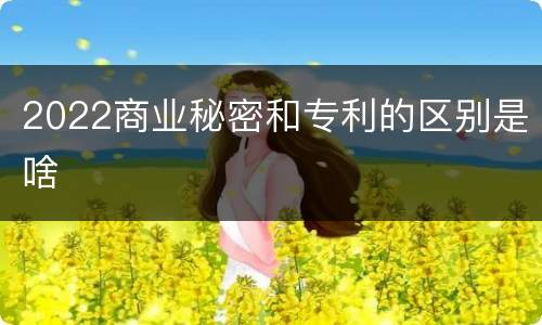 2022商业秘密和专利的区别是啥