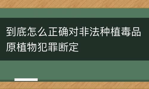 到底怎么正确对非法种植毒品原植物犯罪断定