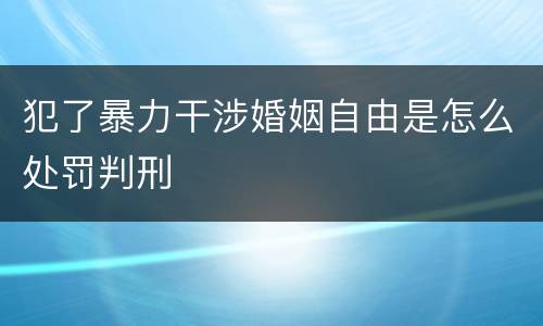 犯了暴力干涉婚姻自由是怎么处罚判刑