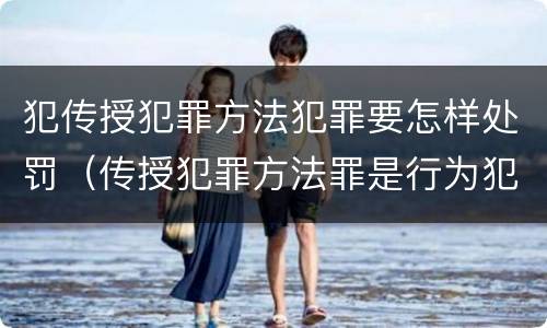 犯传授犯罪方法犯罪要怎样处罚（传授犯罪方法罪是行为犯吗）