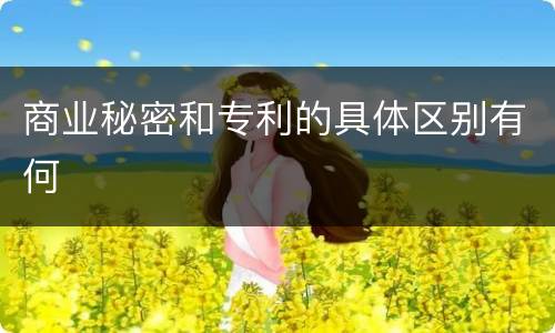商业秘密和专利的具体区别有何