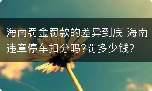 海南罚金罚款的差异到底 海南违章停车扣分吗?罚多少钱?