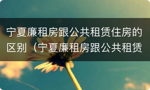 宁夏廉租房跟公共租赁住房的区别（宁夏廉租房跟公共租赁住房的区别）