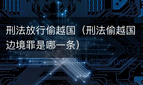 刑法放行偷越国（刑法偷越国边境罪是哪一条）
