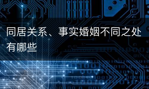 同居关系、事实婚姻不同之处有哪些