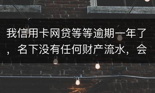 我信用卡网贷等等逾期一年了，名下没有任何财产流水，会不会被强制执行