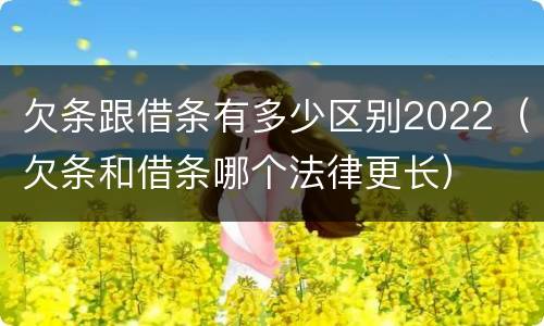 欠条跟借条有多少区别2022（欠条和借条哪个法律更长）