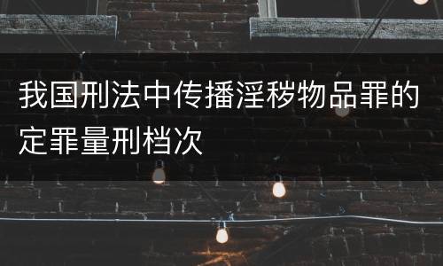 我国刑法中传播淫秽物品罪的定罪量刑档次