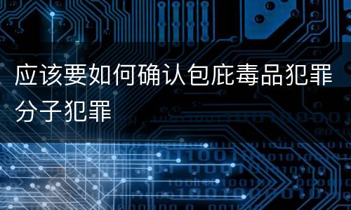 应该要如何确认包庇毒品犯罪分子犯罪