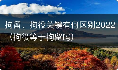 拘留、拘役关键有何区别2022（拘役等于拘留吗）