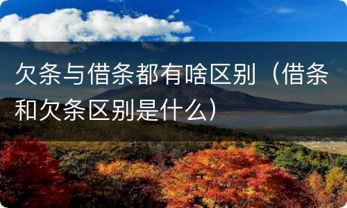 欠条与借条都有啥区别（借条和欠条区别是什么）