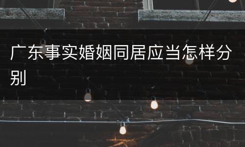 广东事实婚姻同居应当怎样分别