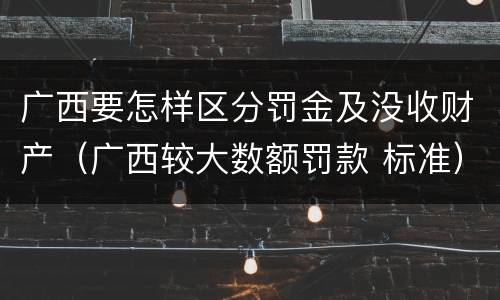 广西要怎样区分罚金及没收财产（广西较大数额罚款 标准）