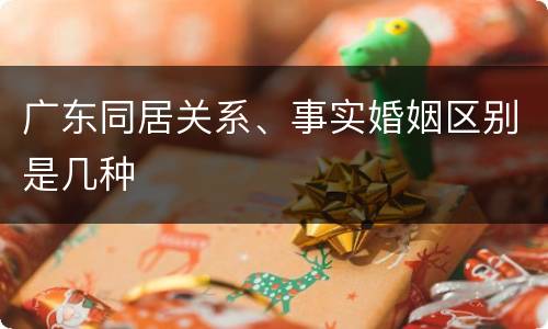 广东同居关系、事实婚姻区别是几种