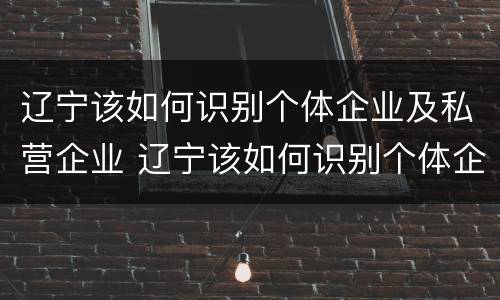 辽宁该如何识别个体企业及私营企业 辽宁该如何识别个体企业及私营企业呢