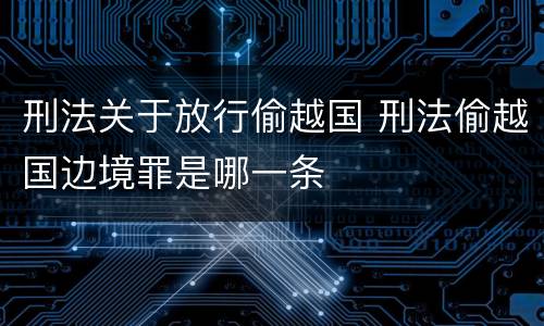刑法关于放行偷越国 刑法偷越国边境罪是哪一条