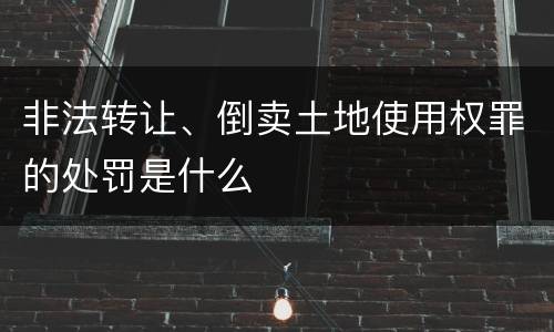非法转让、倒卖土地使用权罪的处罚是什么