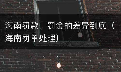 海南罚款、罚金的差异到底（海南罚单处理）