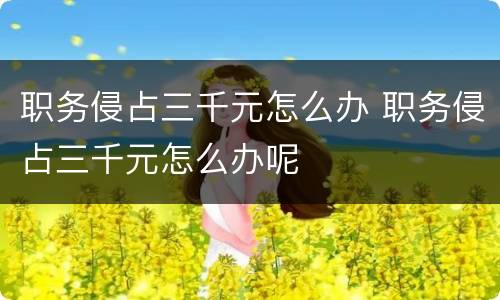 职务侵占三千元怎么办 职务侵占三千元怎么办呢