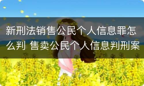 新刑法销售公民个人信息罪怎么判 售卖公民个人信息判刑案例