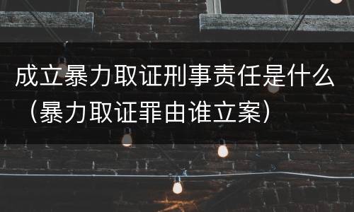 成立暴力取证刑事责任是什么（暴力取证罪由谁立案）