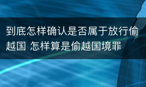 到底怎样确认是否属于放行偷越国 怎样算是偷越国境罪