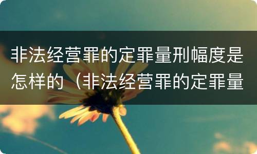 非法经营罪的定罪量刑幅度是怎样的（非法经营罪的定罪量刑幅度是怎样的呢）