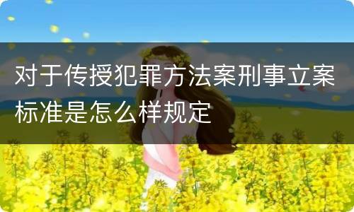 对于传授犯罪方法案刑事立案标准是怎么样规定