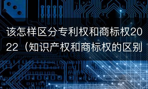 该怎样区分专利权和商标权2022（知识产权和商标权的区别）