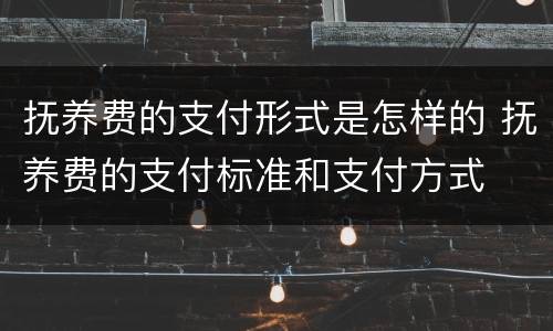 抚养费的支付形式是怎样的 抚养费的支付标准和支付方式