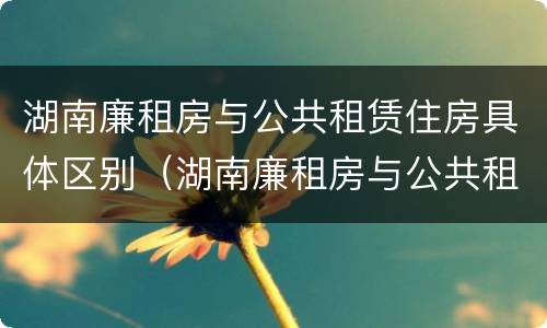 湖南廉租房与公共租赁住房具体区别（湖南廉租房与公共租赁住房具体区别是什么）