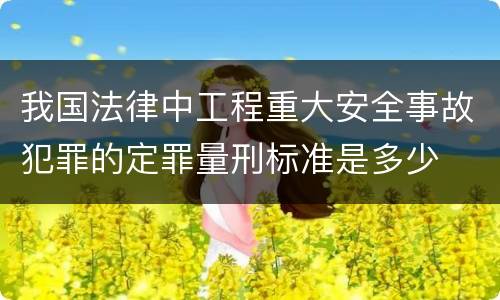 我国法律中工程重大安全事故犯罪的定罪量刑标准是多少